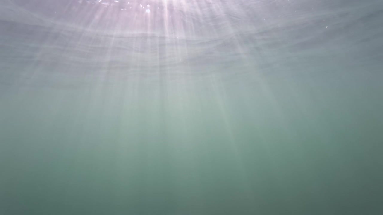 Bubbles rising through murky green liquid, creating an abstract and dynamic underwater background with soft light reflections
