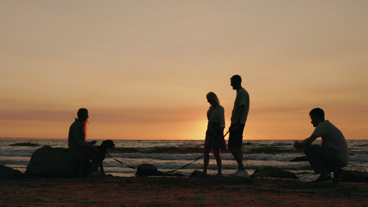 Silhouettes of people and a dog at sunset on the beach