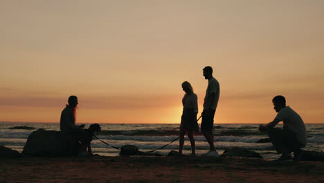 silhouettes of people and a dog at sunset on the beach