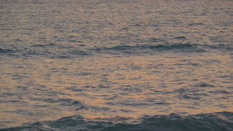 calm ocean waves at twilight