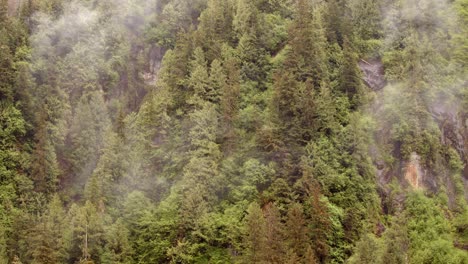 Alaska-Misty-Fjords,
Rudyerd-Bay