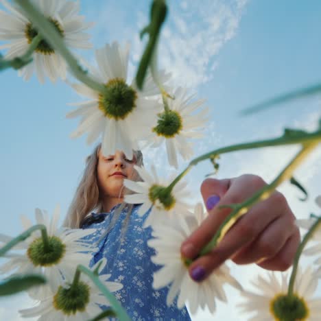 a carefree child plucks a daisy in a field