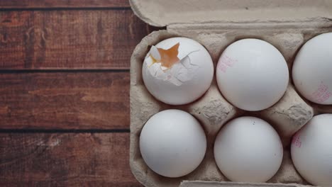 broken egg in carton