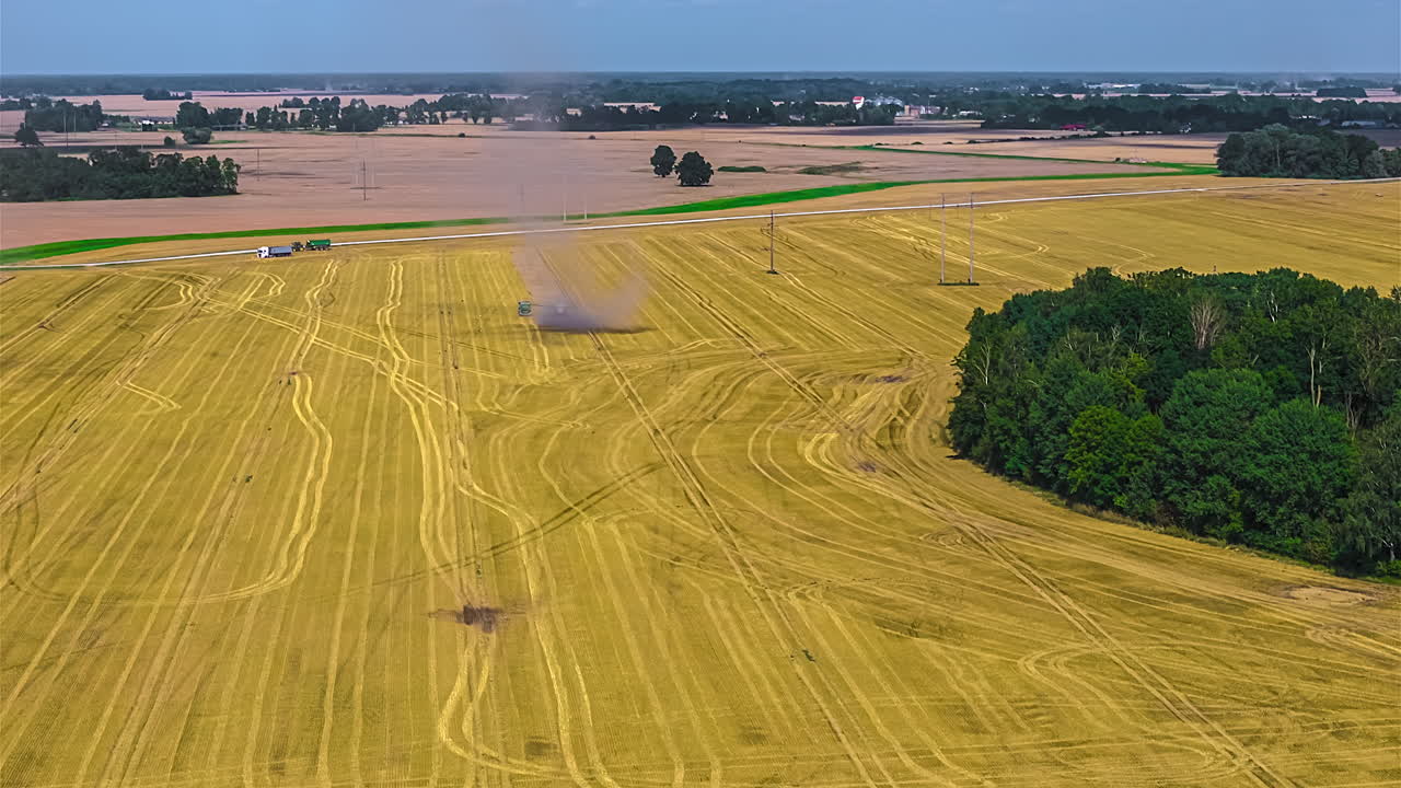 Aerial of combine harvesters plowing golden wheat fields during harvest, time-lapse