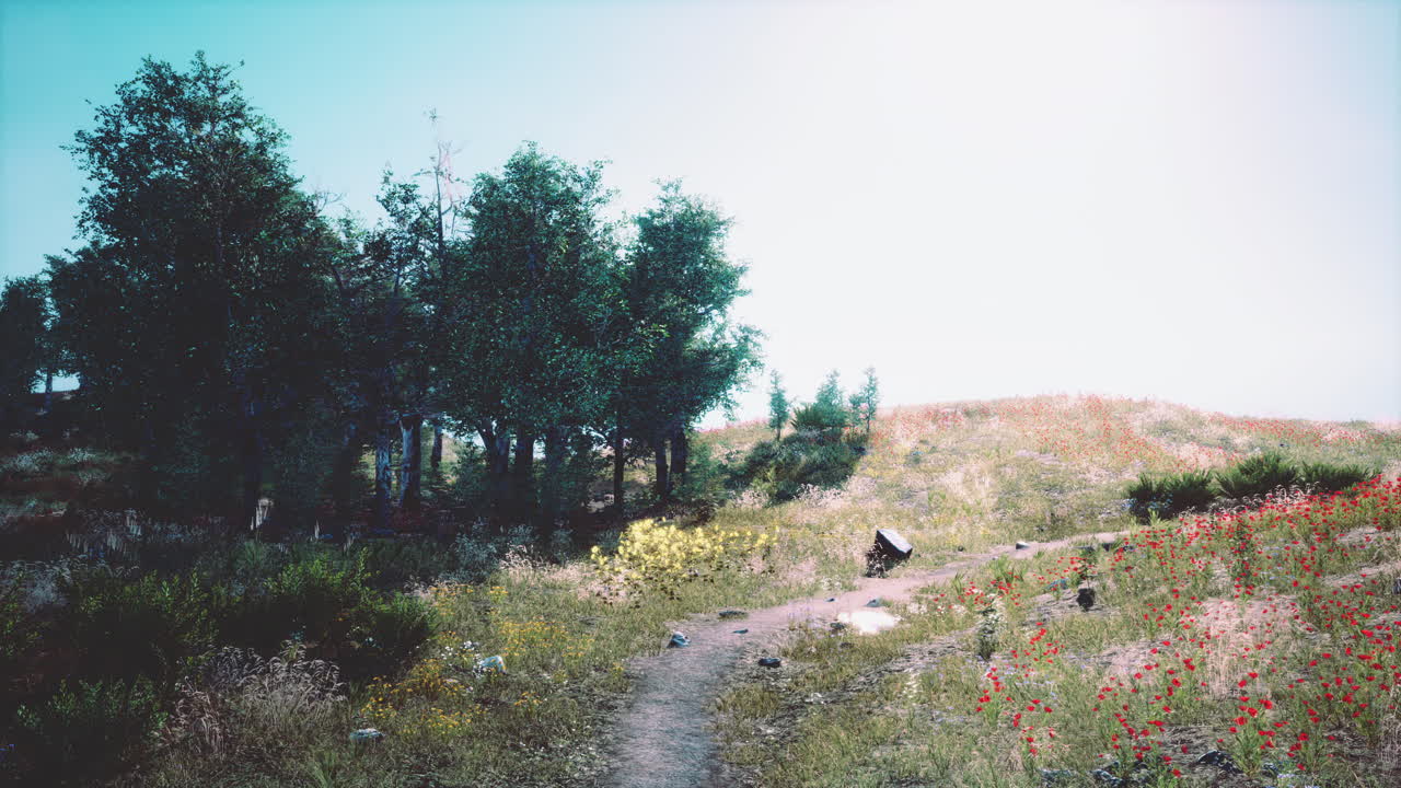 Beautiful panoramic landscape of the mountain valley
