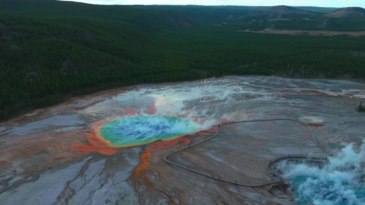 Midway Geyser Basin levende turkisblå varme kilder Grand Prismatic Spring jord luftdrone Yellowstone National Park Wyoming morgen termisk damp Boardwalk-sti naturlandskab baglæns.