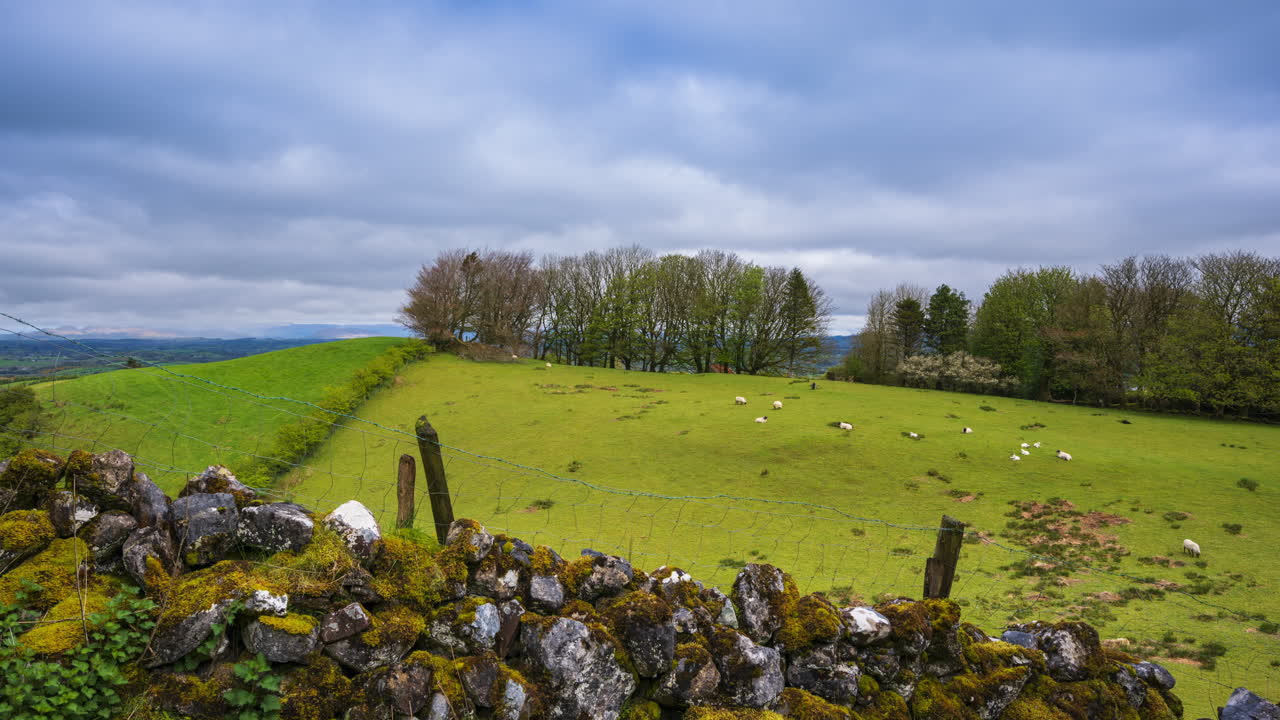 временный ландшафт сельского пейзажа с деревянными столбами в каменной стене на переднем плане и склоне холма с деревьями и овцами на расстоянии во время солнечного облачного дня, виденного из кароукила в графстве слайго в ирландии