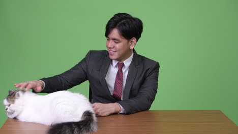 young handsome asian businessman with persian cat against green background