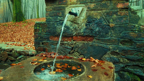 pure, healthy water rich in mineral salts flows from spring in mountains autumn