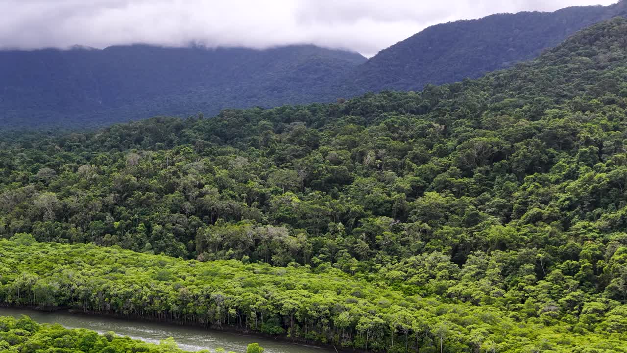 Drone camera slowly pans across lush rainforest canopy, river, and misty mountains under overcast daylight