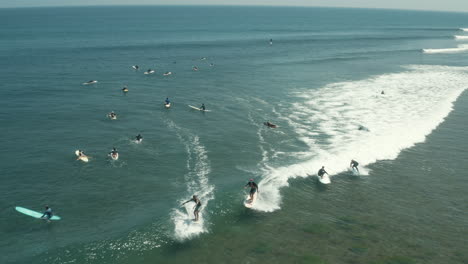 4k surfers at surfrider beach in malibu california.