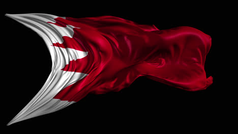 bahrain flag waving