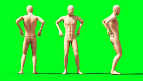 dummy, mannequin animation. phisical, motion blur. realistic 4k animation. green screen