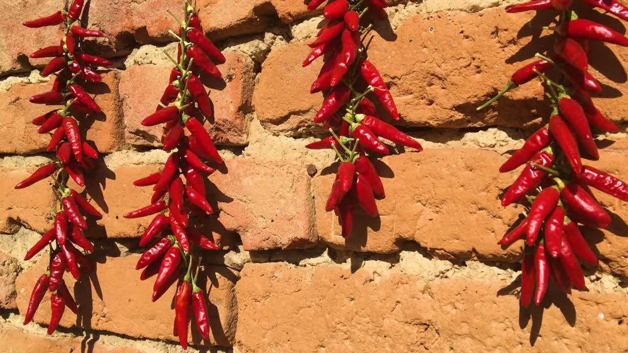 красный острый перец чили. острая пища. органические ингредиенты