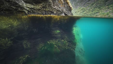 Ein-Over-Under-Video,-Das-Die-Felsigen-Ufer-Und-überfluteten-Unkrautbeete-Eines-Fjords-Zeigt