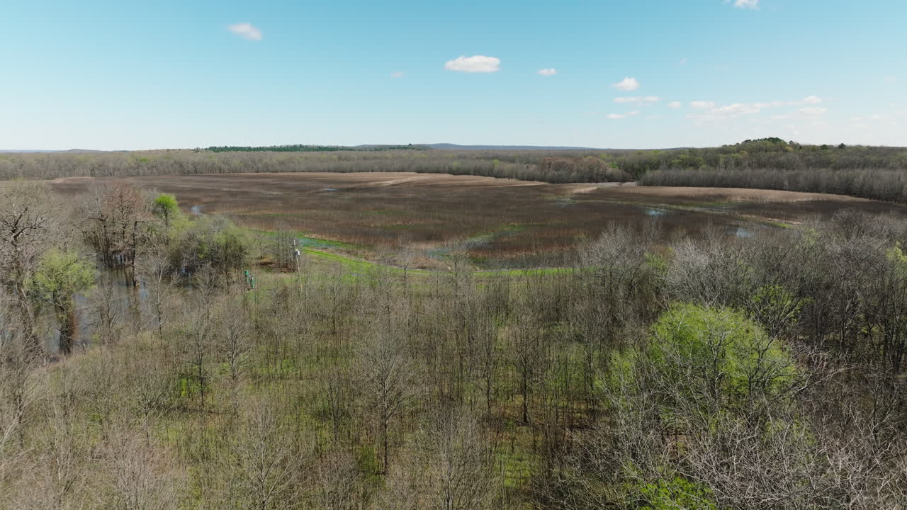 vista aérea de árboles y campos desnudos en el área de manejo de vida silvestre del estado de bell slough, arkansas, estados unidos - toma de dron