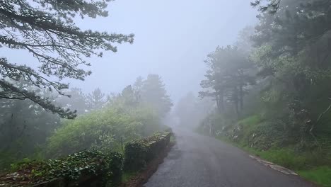 foggy views of the winding road in kotor mountains montenegro at dusk