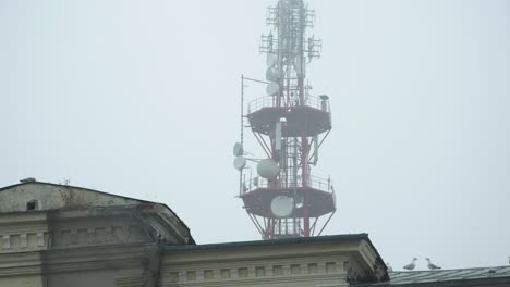 tv tower in liepaja city in foggy day behind the abandoned house, seagulls on the roof, medium shot