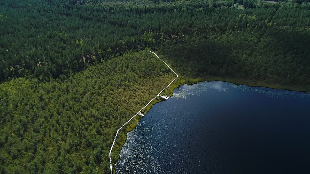 가을 색상의 상승된 늪지 공중 넓은 전망