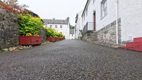 a quiet, picturesque alley with colorful flowers