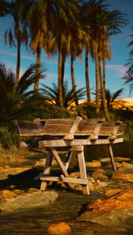 puente de madera en un oasis desértico con palmeras