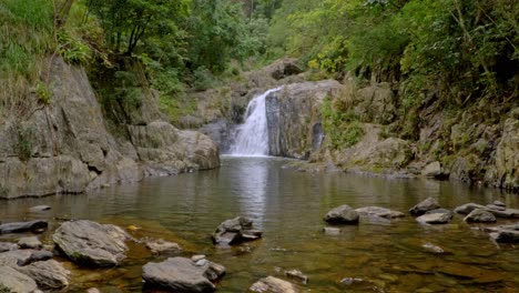 pintoresco arroyo de agua dulce con cascadas de cristal, valle de redlynch, al oeste de cairns, qld australia