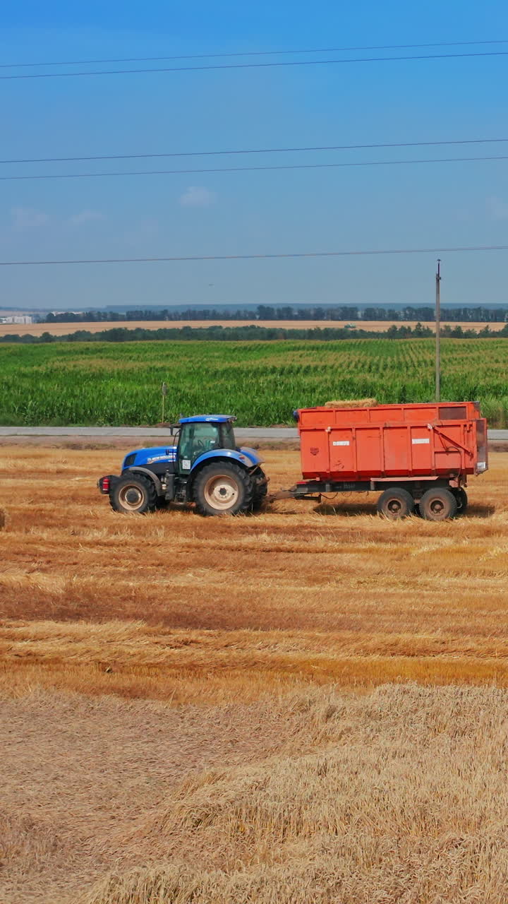 Agricultural summer farming field. Aerial view of tractor working in the field. Vertical video