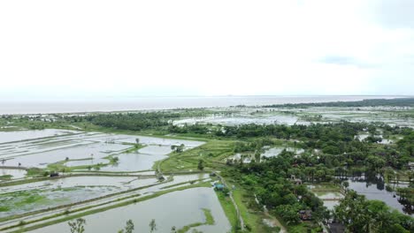 As-a-result-of-heavy-rains,-various-fields-of-West-Bengal-along-the-banks-of-the-Ganges-were-submerged