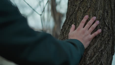 a close-up of a man's hand touching the bark of a tree, the man is wearing a green jacket, and the background is softly blurred