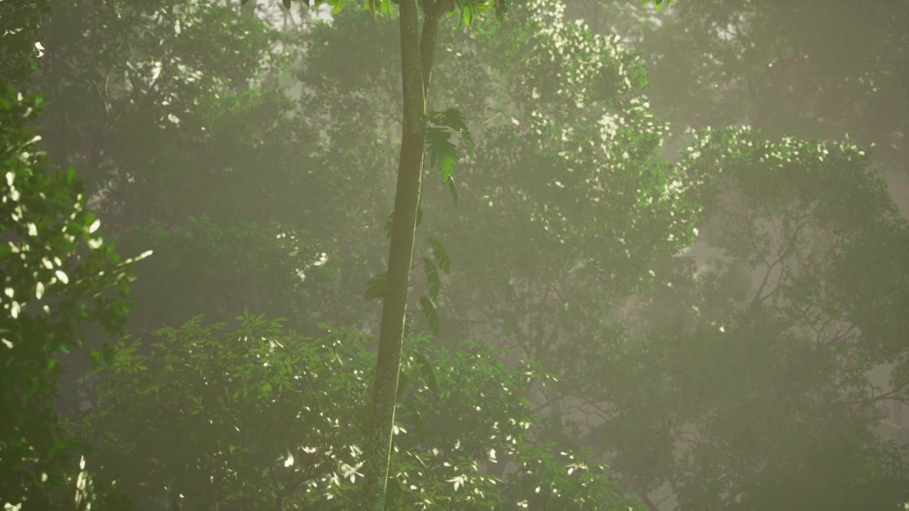苔に覆われた植物が生い茂る、薄暗く神秘的な熱帯雨林の情景。
