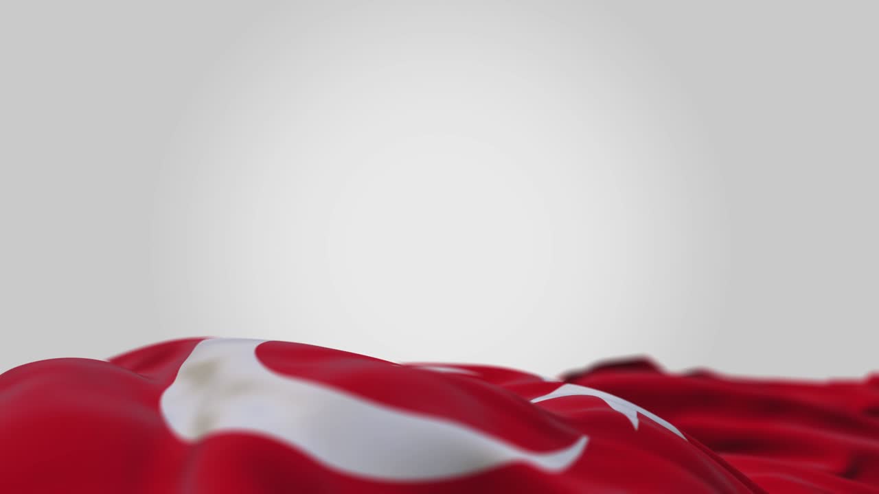 3d 터키 파동 발은 수평 위치에 있습니다.