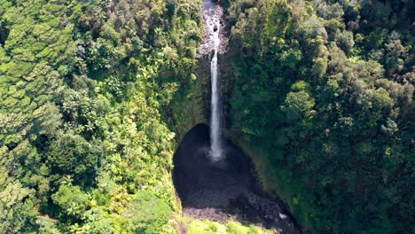 aerial view of akaka falls in hawaii, where a tall waterfall drops into a shaded pool at the base of a cliff, surrounded by lush green rainforest vegetation