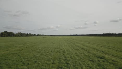 open field surrounded by forest, dolly forward perspective