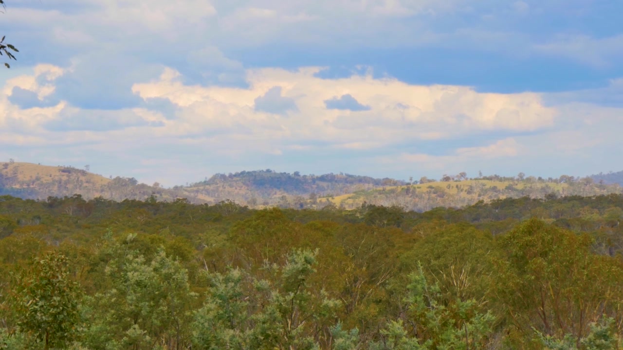Hill landscape with trees and mountains