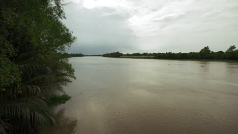 a serene river landscape showcasing calm waters and lush greenery capturing tranquil moments in nature.