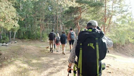 hiking group in a forest
