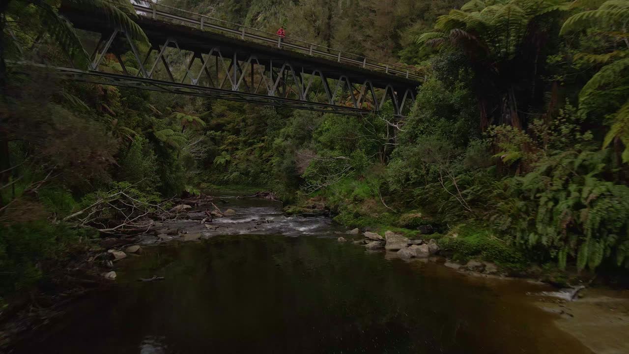 viejo y estrecho puente de acero que conecta dos riberas cubiertas de maleza en medio de una selva tropical en nueva zelanda