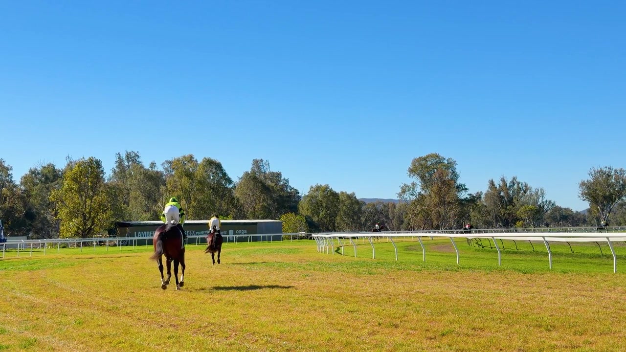 Toma amplia de jinetes galopando caballos en un hipódromo de hierba rural en Gunnedah, Australia