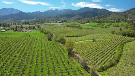 Aerial-view-of-valley-filled-with-fruit-orchards,-Southern-Oregon