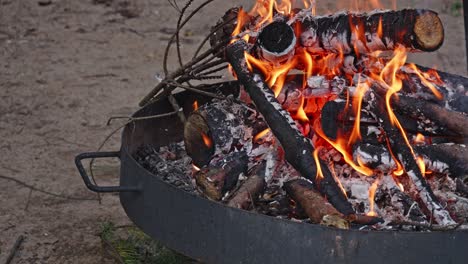 campfire grill or fire pit grill with burning bright wood in the firebox