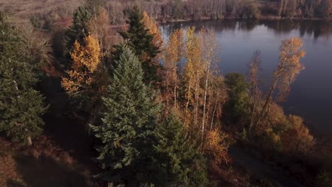 Wechselnde-Farben-Der-Natur-Im-Herbst---Luftaufnahme