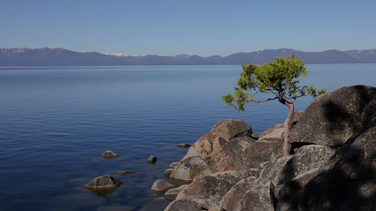 북부 네바다에 있는 타호 호수 (lake tahoe) 의 나무와 바위의 4k 영상, 북부 캘리포니아 근처의 시에라 네바다 산맥