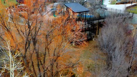 aerial view of trees that have lost their leaves for the winter