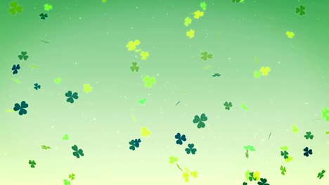 clover leafs falling for saint patrick's day background, looped