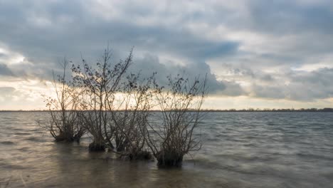 Lapso-De-Tiempo-Del-Agua-De-La-Marea-En-El-Lago-De-Manglar-Poco-Profundo