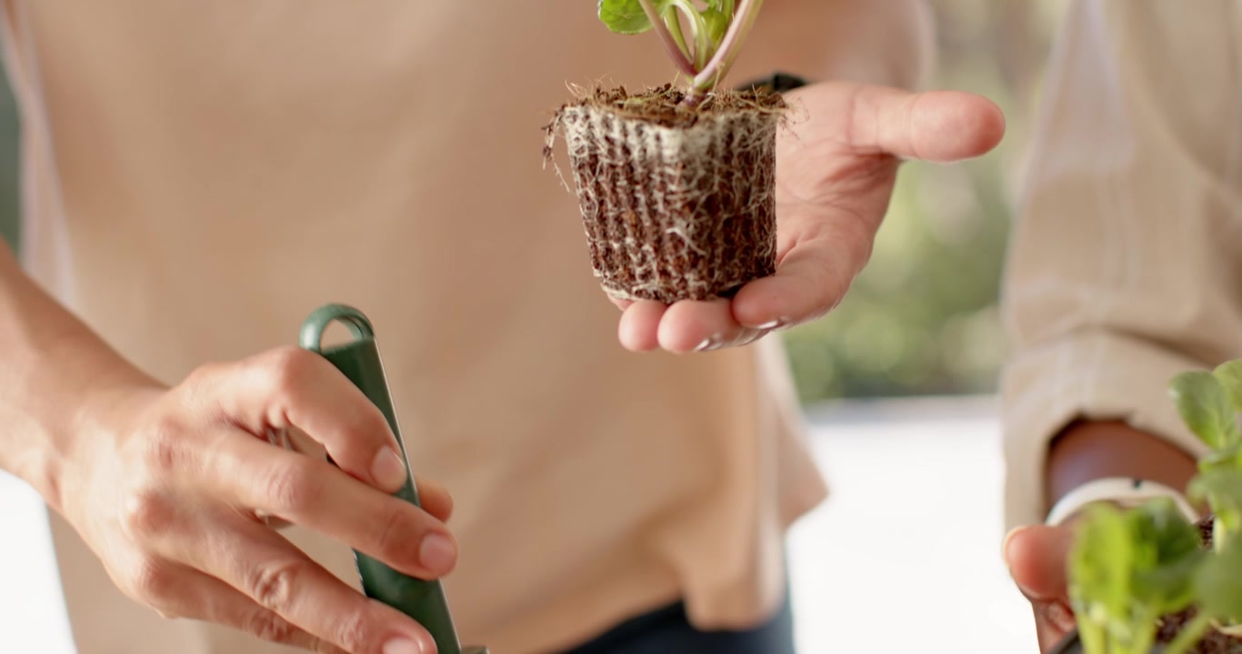 Trowel touching soil is starting; two are digging, one is placing seedling into pot on patio