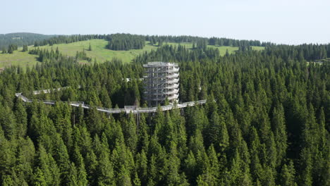 wooden observation tower in a forest