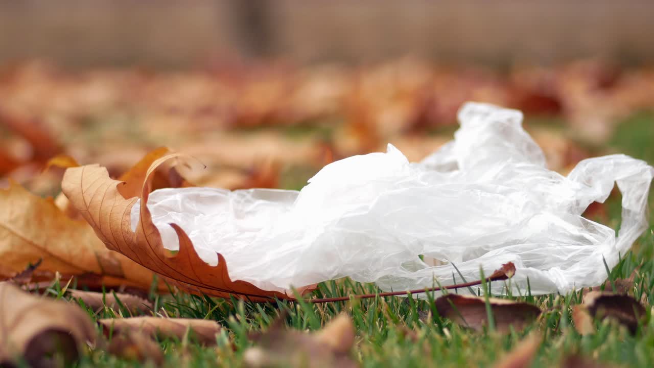 가을 잎에 플라스틱 가방 쓰레기