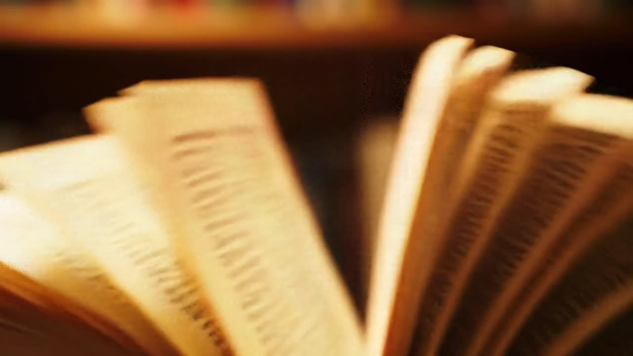 A reader flips through the aged pages of a book in a quiet library, surrounded by shelves filled with numerous literary works. The warm ambiance enhances the experience of exploration.