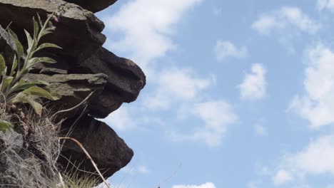 rocas escarpadas y plantas crecen en páramos duros contra el cielo azul nublado toma panorámica